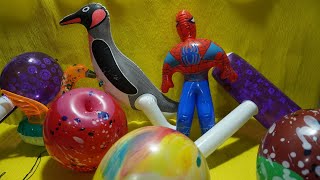 FUN_PO0PPING_LOTS_OF_BALLOONS P-147#147#satisfying#asmr#balloon#fun#spiderman#penguin