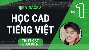 HỌC VINACAD (Bài 1) Thiết đặt giao diện & Bắt điểm | Học AutoCAD bản tiếng Việt