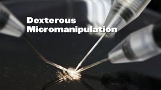 Three Purdue Researchers Collaborate to Study Dexterous Micro-Manipulation