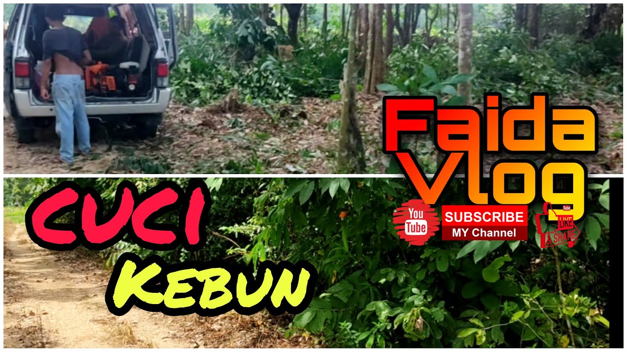 Kebun/2 Teman Abah Cuci Kebun#Vlog20