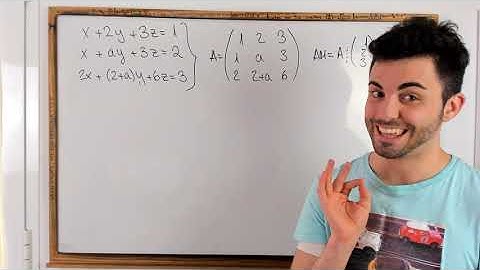 Discutir un SISTEMA - ROUCHÉ FROBENIUS - Bachillerato