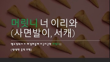 현실약사킴약사 머릿니 타파!!