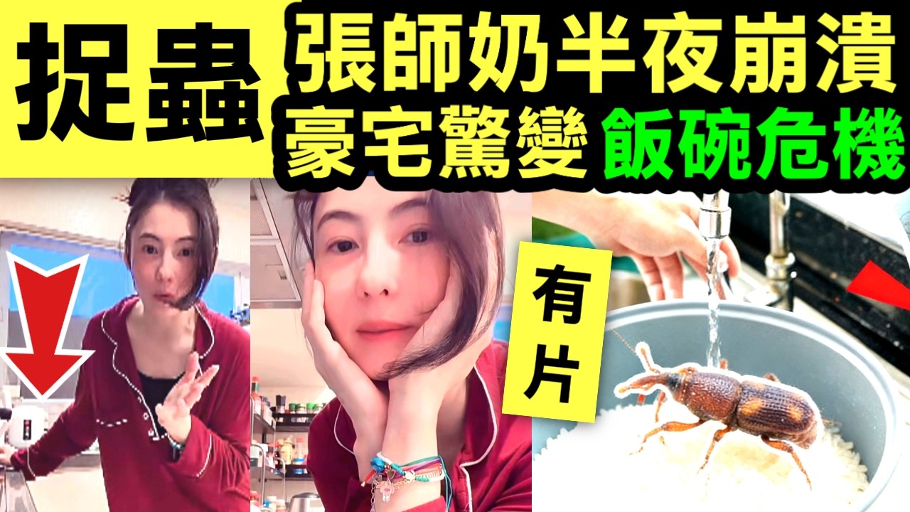 張柏芝教精你！一個爛飯煲睇穿女人心，回南天廚房「一招」守住全家飯碗！億萬身家「喊」爛煲？張柏芝暗示嘅『廚房危機』，你屋企隨時中招！穀牛消滅｜回南天潮濕蛀米大蟲殺到 Smart Travel《即時娛樂》