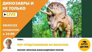 Занятие &quot;Рог-представление из мезозоя!&quot; кружка &quot;Динозавры и не только&quot; с Ярославом Поповым