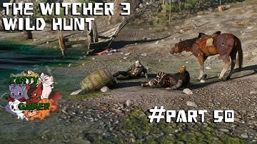 The Witcher 3 Wild Hunt - Part 50