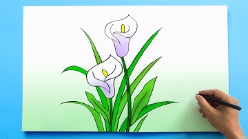 Calla Lily Flower Drawing | How to draw Calla Lily flower easy step by step