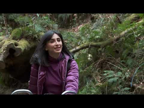 ერთი დღე სოფელში -