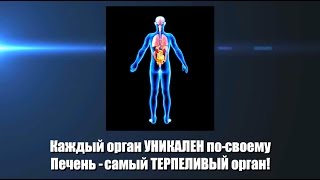 Наша Печень: Злободневность Наша Печень: Злободневность