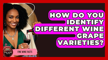 How Do You Identify Different Wine Grape Varieties? - Fine Wine Facts
