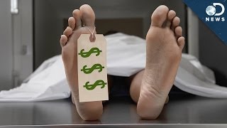 How Much Are Your Body Parts Worth?(In the United states, there are 123000 people in need of an organ. How much are your body parts worth? Laci is here to discuss why human organs are so ..., 2014-08-19T13:00:06.000Z)