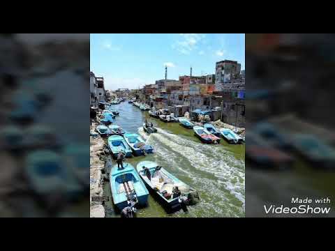 عن البنت البدوية قصيدة من حكاياتك يا اسكندرية للشاعر الأديب أحمد بكر سليم