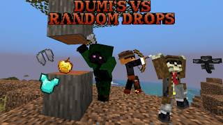 Minecraft, But Block Drops are RANDOM!!!
