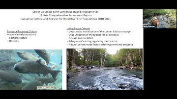 Lower Columbia River & Hood River Salmon & Steelhead Populations from ODFW’s 12-year Recovery Plan