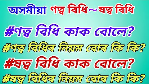 অসমীয়া ণত্ব বিধি আৰু ষত্ব বিধি || অসমীয়া ব্যাকৰণ || Assamese #Grammar #hslc2024