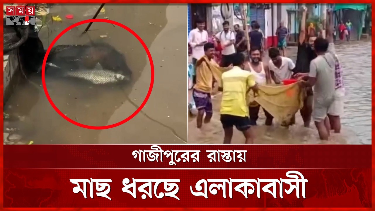 গাজীপুরে বৃষ্টির পানিতে মাছ ধরছে এলাকাবাসী | Gazipur News | Somoy TV