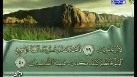 سورة القصص |الشيخ فارس عباد AlQasas |Fares Abbad