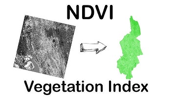 NDVI in ArcGIS | Vegetation Map in ArcGIS