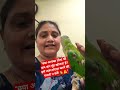 बीमार तोते की पहचान और ज़रूरी सलाह! 🦜🏥​#ParrotCareTips #BirdHealth # ViralShorts #IndianParrotRio