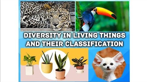 Diversity in living things and their classification | STD 6th| Class 6| Science 📚