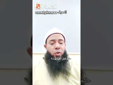 حكم قتل العنكبوت