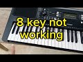 Piano,8 key not working..