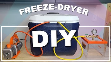Making a REAL Homemade Freeze-Dryer! (with a cold catch!)