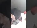 فضيحة نعيمة صالحي قبلات ساخنة مع عشيقها الجديد فضيحة نعيمة صالحي قبلات ساخنة مع عشيقها الجديد