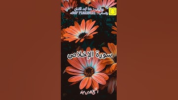 سورة الإخلاص | الشيخ فارس عباد، استغفر الله العظيم واتوب اليه