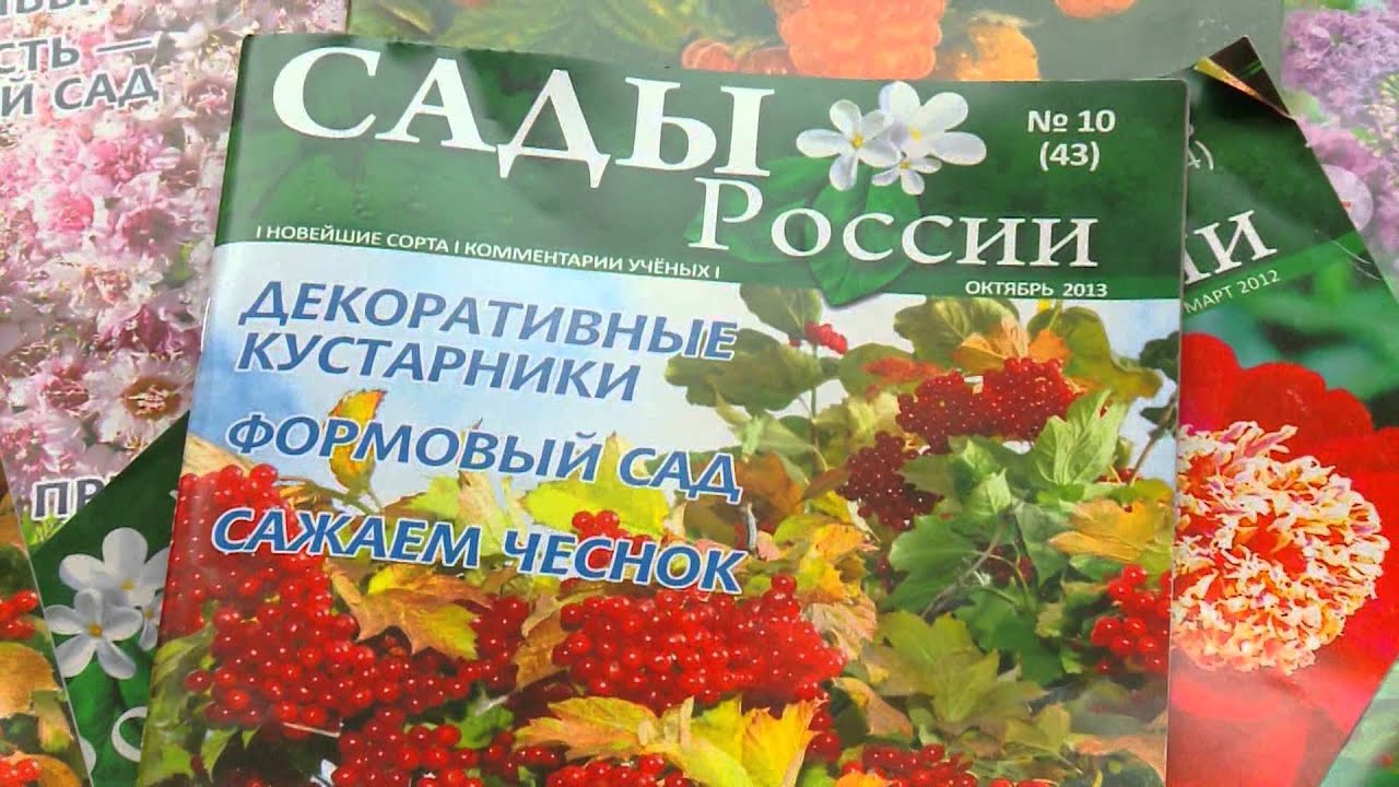 Наш сад сегодня приуныл. Сады России журнал. НПО сады России Челябинск. НПО сады России интернет магазин. Сады России каталог 2013.