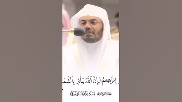 تلاوة قصيرة للقارئ ياسرالدوسري | الم تر الى الذي حآج ابراهيم في ربه ✨💛