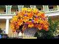 XVIII Фестиваль цветов «Императорский букет». «Прекрасные виды - Волшебные цветы» (2018)