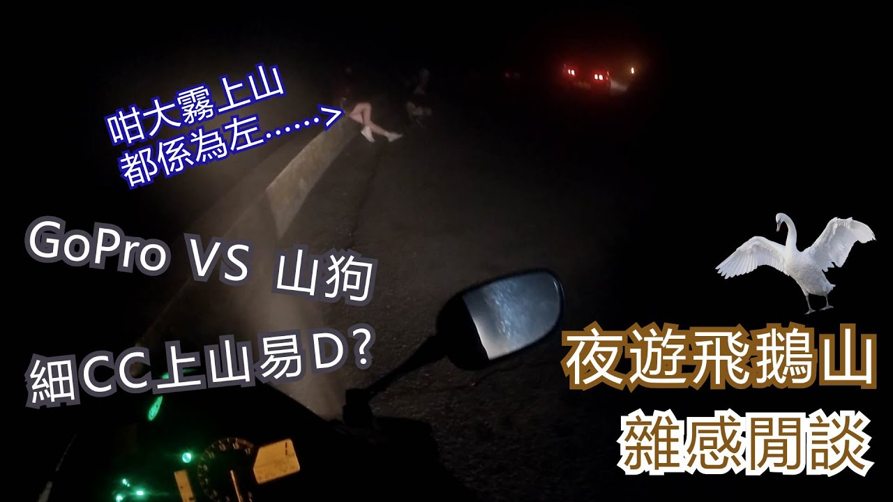 Gopro Vs 山狗車cam夜間實測飛鵝山閒談 Vlog Vol 15 皮包鐵情侶 Youtube