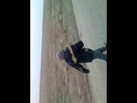 Тулкы тулкы😇😇😇😇 - YouTube