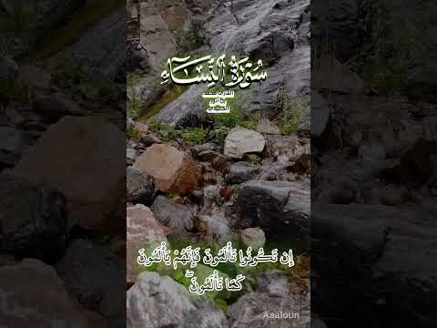 ولا تهنوا في ابتغاء القوم آية تبعث الصبر والثبات ثبات تلاوة خاشعة غزة