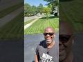 Even after six inches of rain, the lawn can still POP! #diylawncare #lawncare #healthylawn #grass