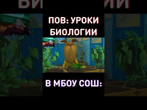 А что такого?) RYTP Барбоскины