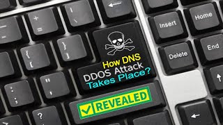 what is DNS DDOS ATTACK | DDOS DNS Attack | How does DDOS DNS Attack take place | Infosec