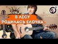 В лесу родилась елочка на гитаре | Бесплатные табы!