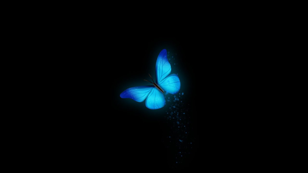 Glowing butterfly black screen | blue butterfly black screen effect | black  screen butterfly - YouTube