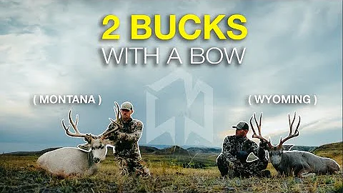 I can't believe I killed 2 BIG BUCKS in the same trip! (full episode)