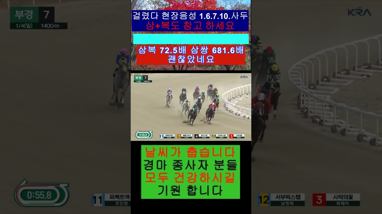 괜찮네요 삼+복 72.5배 삼-쌍 686.1배 영상보기