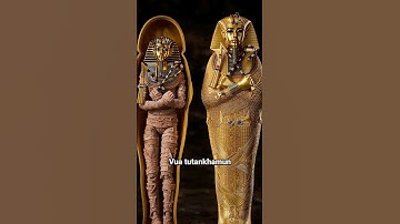 Hậu quả cho kẻ khai quật mộ  Tutankhamun | Mình Là Nguyên #shorts