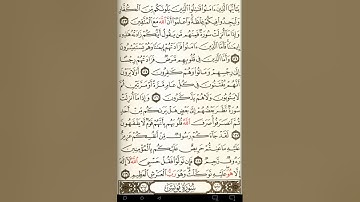 ماهر المعيقلي سورة التوبة مكتوبة صفحة 207 مصحف المدينة المنورة جودة عالية