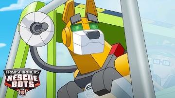 Servo and the Rescue Bots Save Cody 🚚🐕🚨 | Transformers Rescue Bots | Transformers TV