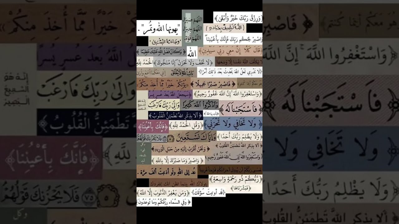 أين وقعت عينك #عبدالرحمن_مسعد_تلاوة_جديدة #اكسبلور #اهميه #تيك_توك #اعتني #لايف #شلتنا #ترند