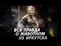 Download ЖИВОТНОЕ ИЗ ИРКУТСКА! ВСЯ ПРАВДА О СИБИРСКОМ ФЕНОМЕНЕ ЖИВОТНОЕ ИЗ ИРКУТСКА! ВСЯ ПРАВДА О СИБИРСКОМ ФЕНОМЕНЕ
