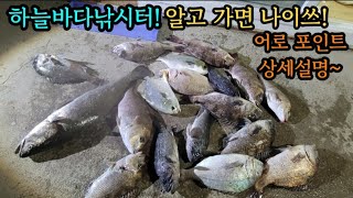 🔥 하늘바다낚시터 피딩타임 만났다~느나!!