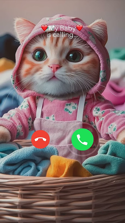 Hello #cat #nadaderingtelepon #smartphone #ringtone #ringtons #bgm #gatuno #funny #gatu #music