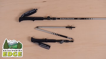 Black Diamond Distance FLZ Trekking Poles