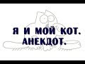 Я и мой кот | Анекдот